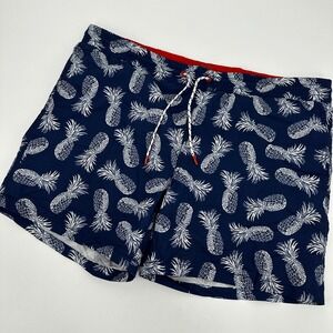 Express Mens Pineapple Print Swim Trunks Navy Size Medium Summer Board Shorts